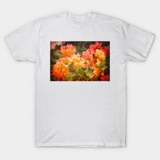 Rose 270 T-Shirt